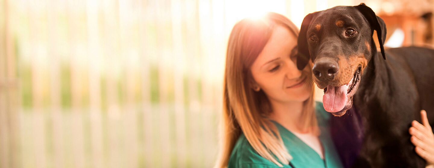 How Do Vets Put Dogs To Sleep